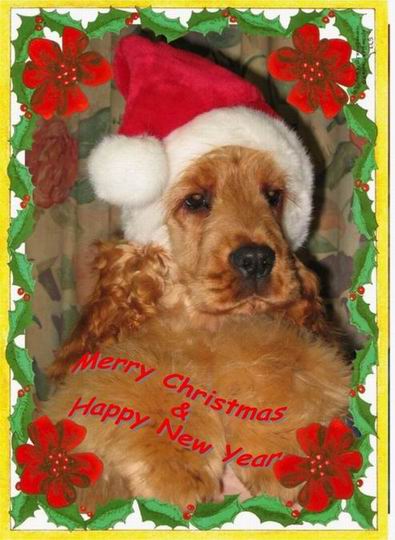 Joyeux Noël tout le monde!!!